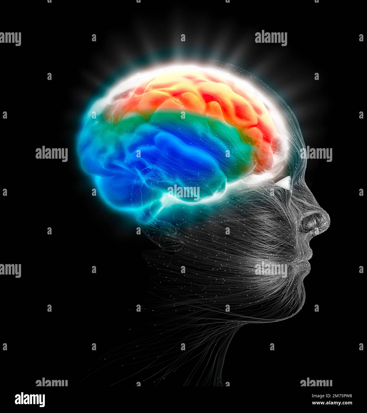 Neurologia, filosofia, sviluppo del pensiero e della riflessione, come sviluppare le infinite possibilità della mente. Vista laterale del viso, anatomia umana Foto Stock