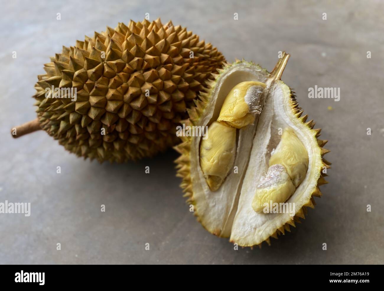 Frutta dura fresca e matura. Il Durian (Durio) è una pianta tropicale proveniente dalla regione del sud-est asiatico, famosa per la sua forma unica e il suo aroma caratteristico. Foto Stock