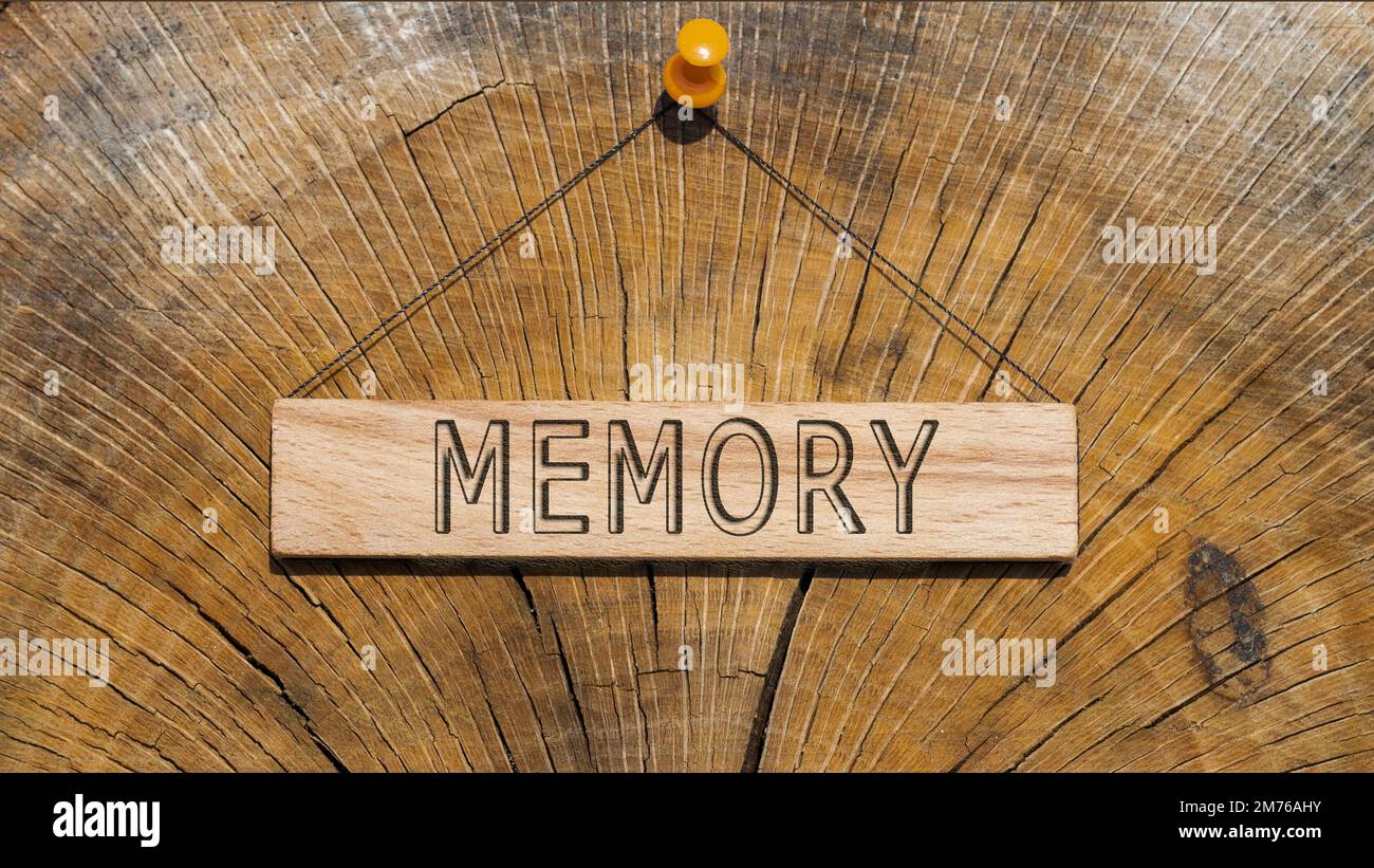 La memoria è stata scritta sulla superficie di legno. Concetto di legno. Foto Stock