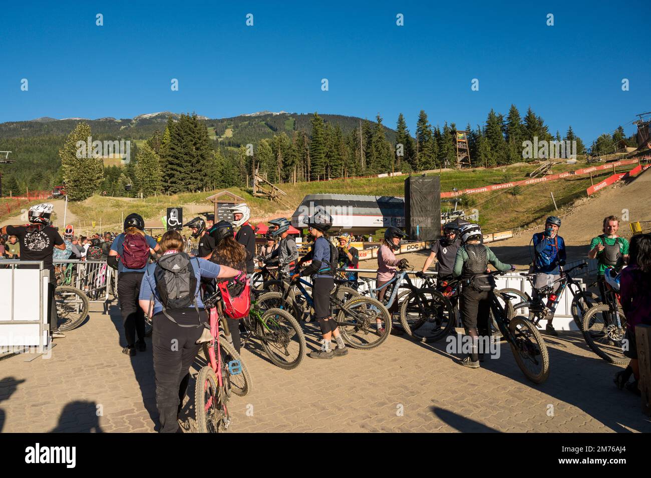 Il Whistler Mountain Bike Park in una soleggiata serata estiva. Whistler BC, Canada. Foto Stock