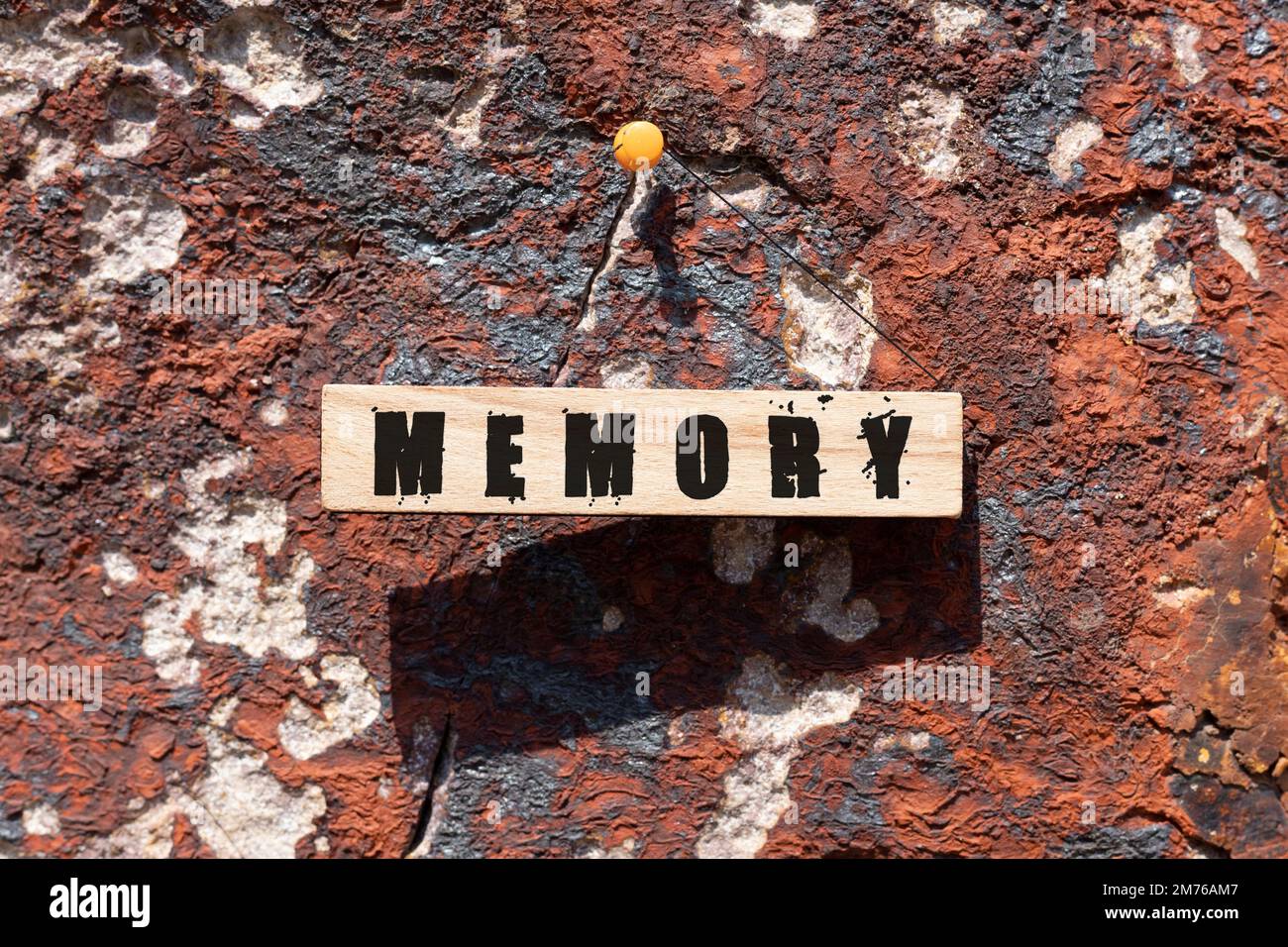 La memoria è stata scritta sulla superficie di legno. Concetto di legno. Foto Stock
