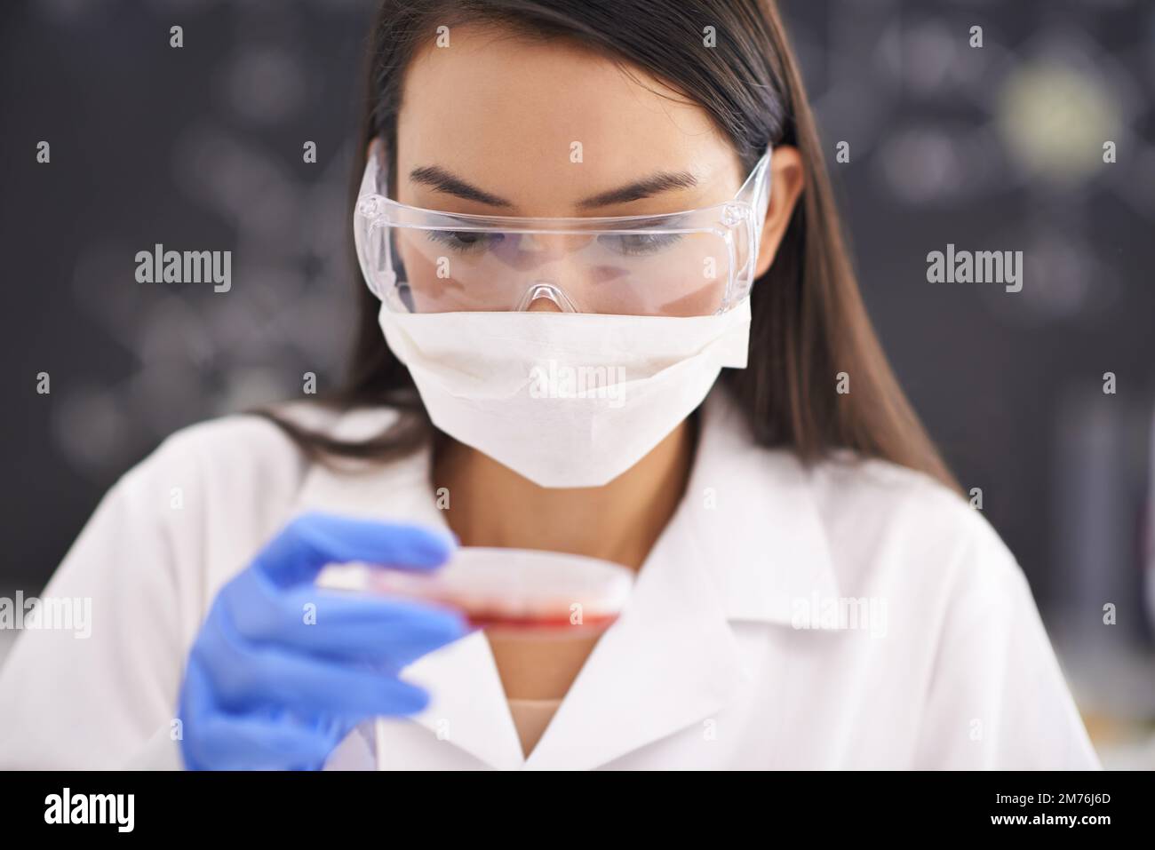 La scienza è tutta osservazione. una scienziata femminile che osserva la cultura in un piatto. Foto Stock