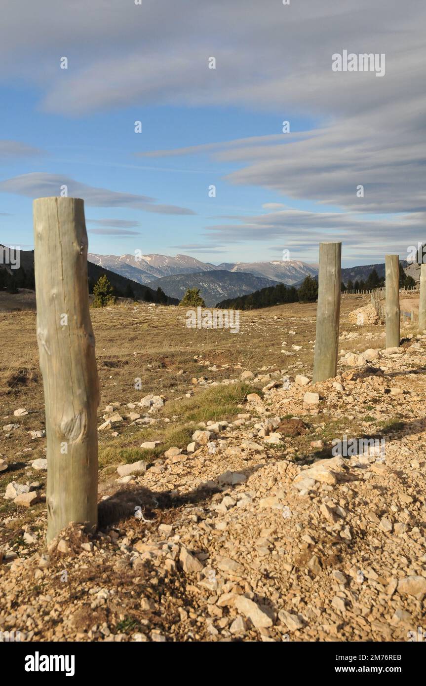 Un colpo verticale di pilastri in legno in un campo contro una catena montuosa sotto un cielo azzurro nuvoloso Foto Stock