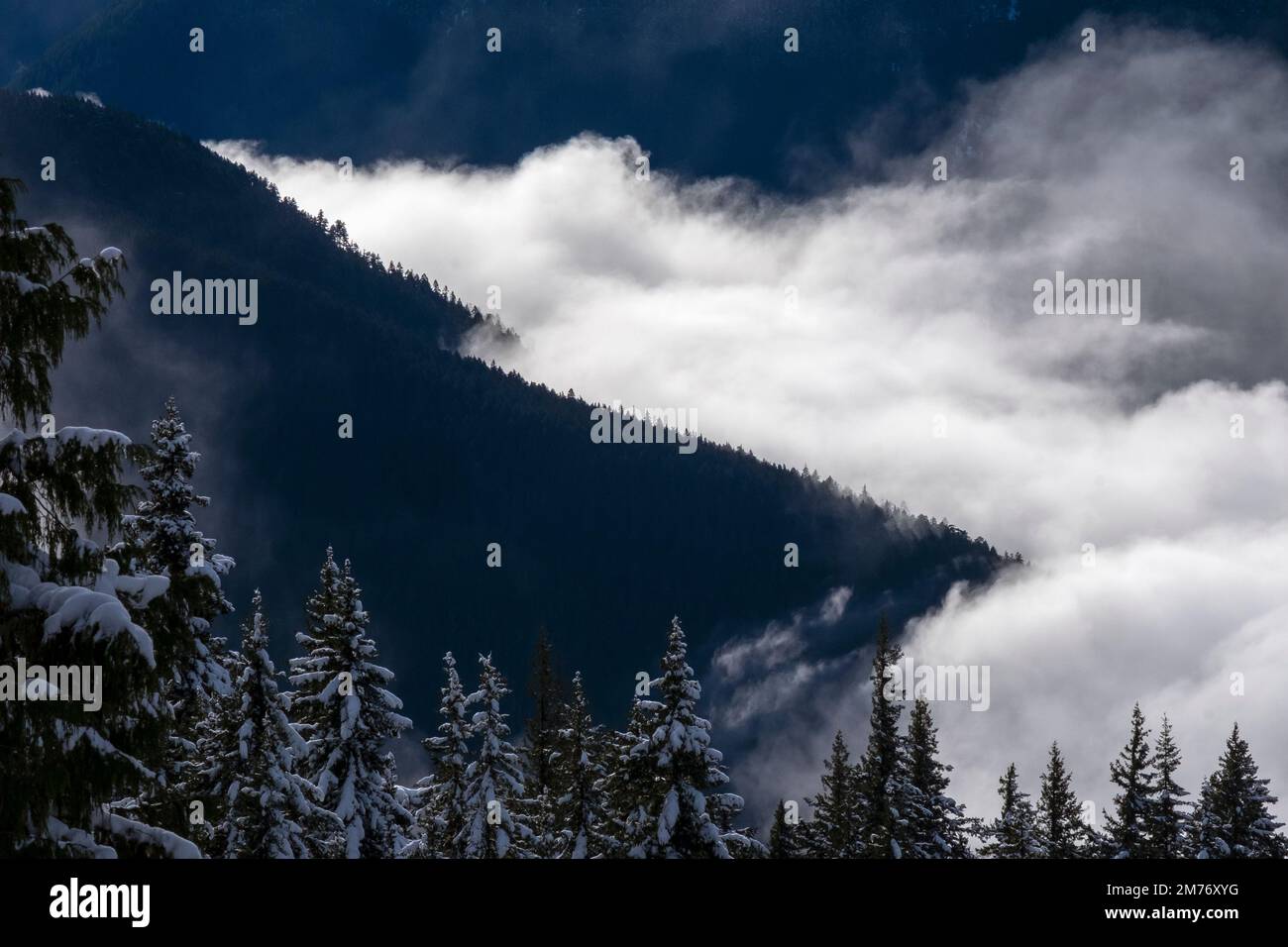 Nuvole sul Wolf Creek Trail a Hurricane Ridge, Olympic National Park, Washington state, USA Foto Stock
