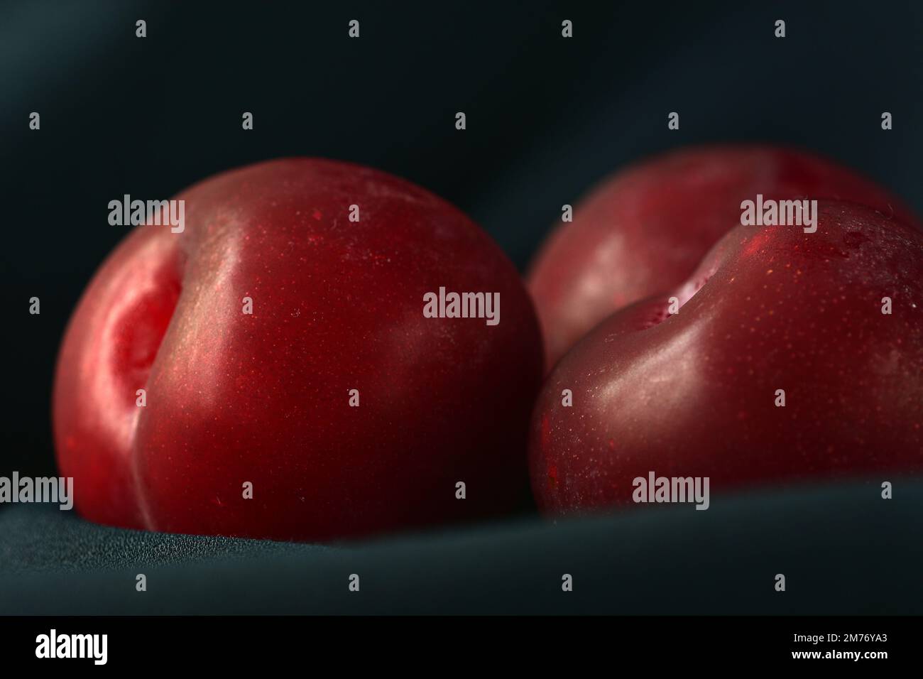 Primo piano di prugne viola fresche e succose su sfondo scuro; profondità di campo poco profonda Foto Stock