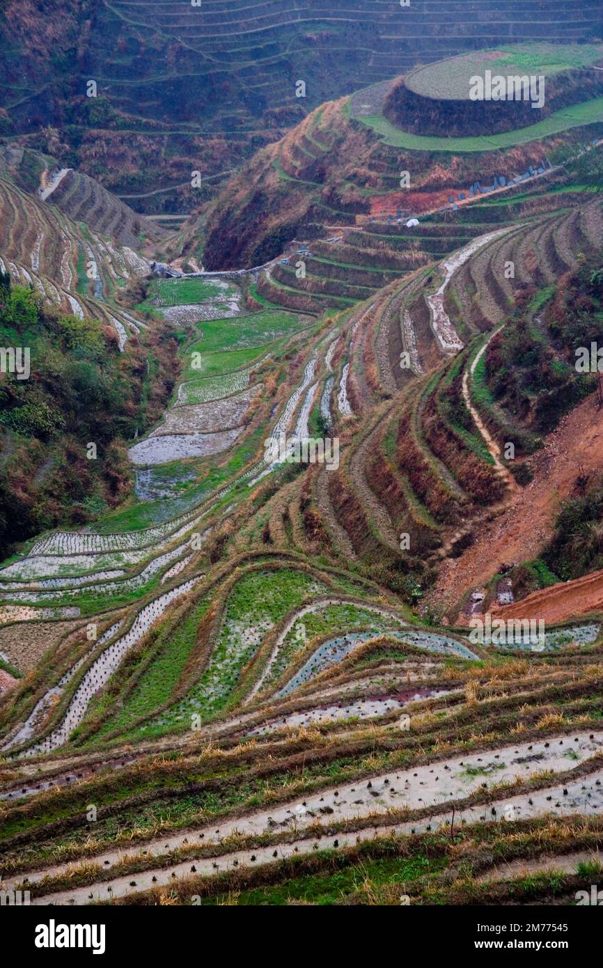 Longji terrazze,Guangxi Foto Stock