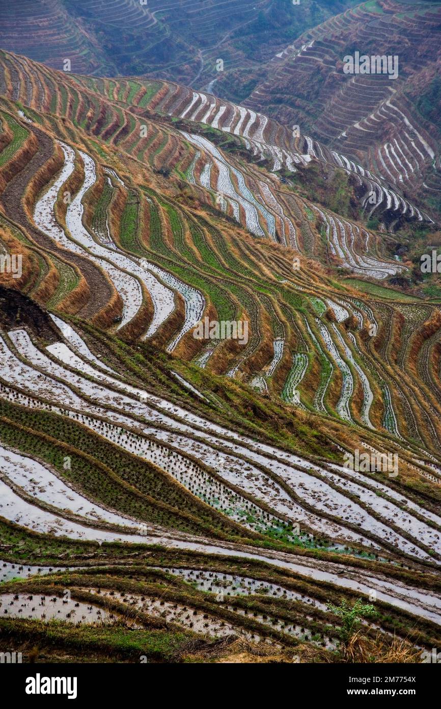 Longji terrazze,Guangxi Foto Stock