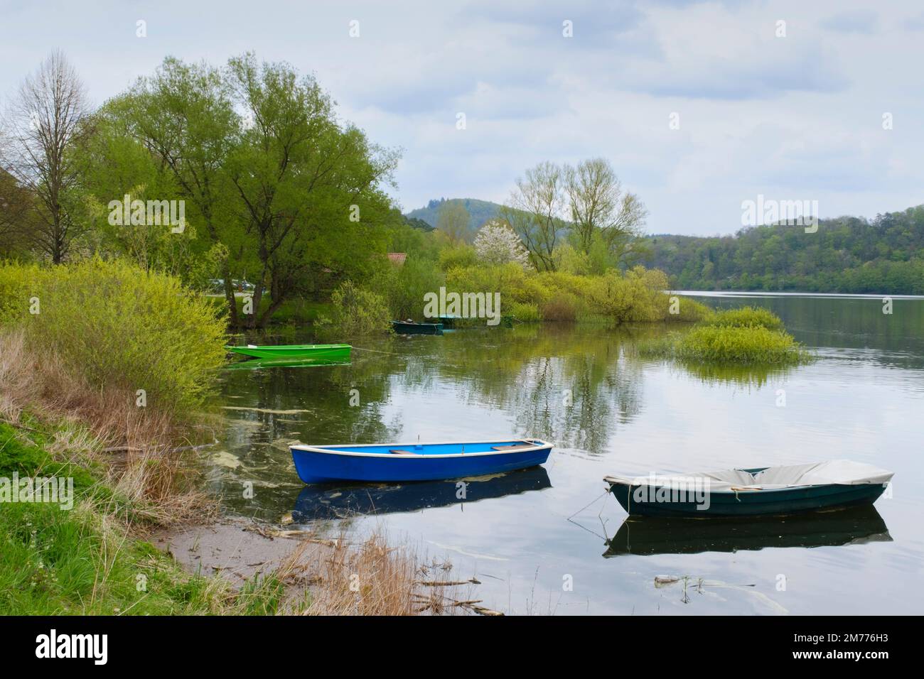 Barca a remi al lago Edersee, Valle Edertal, Assia, Germania, Europa Foto Stock