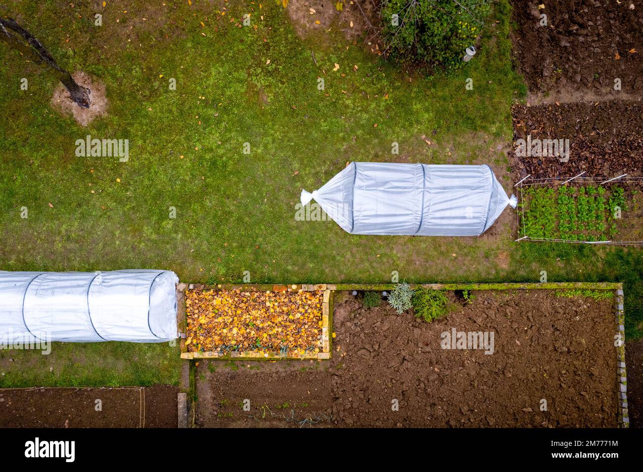 Veduta aerea delle serre a tunnel basso del fai da te in un giardino di casa. Polytunnel, giardino autunnale, clima freddo protezione delle colture sfondo. Foto Stock