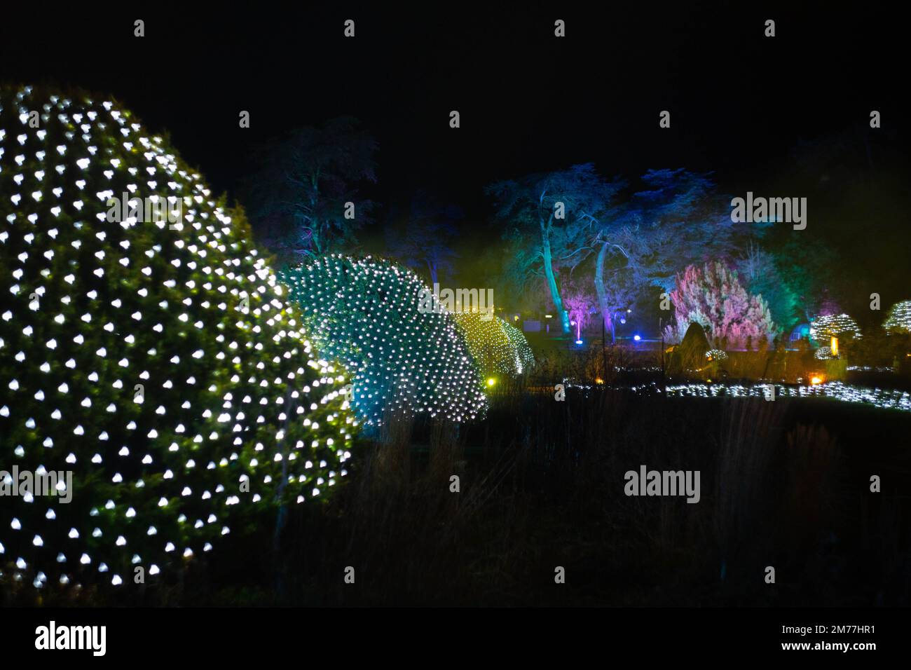 Spettacolare esposizione di luci natalizie con topiario illuminato e alberi ai Trentham Gardens Foto Stock