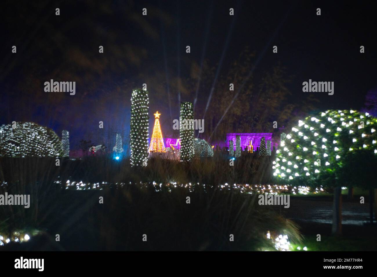 Spettacolare esposizione di luci natalizie con topiari illuminati e decorazioni natalizie di notte Foto Stock