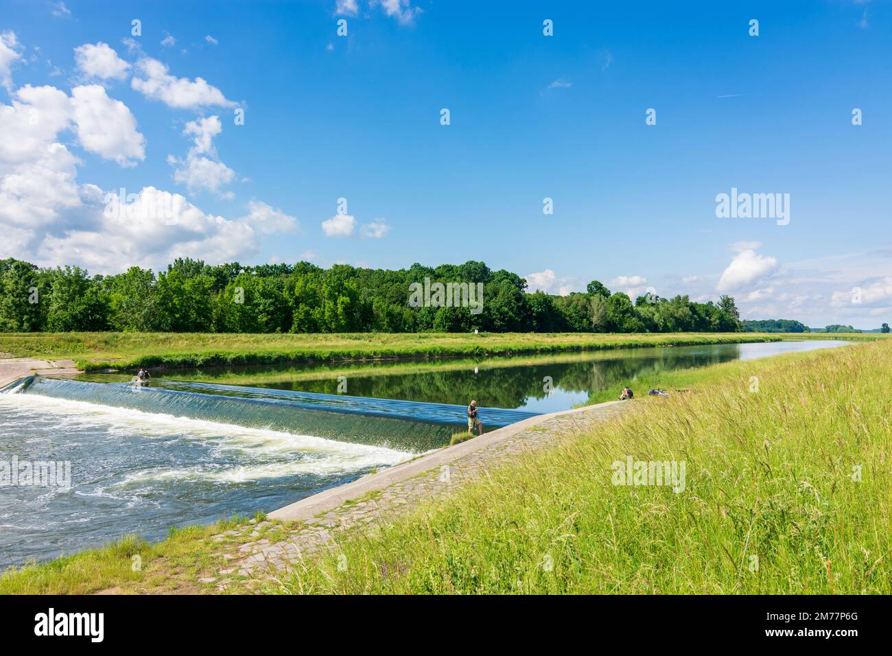 Gbely (Egbell): fiume Morava (marzo), fisher in , Slovacchia Foto Stock