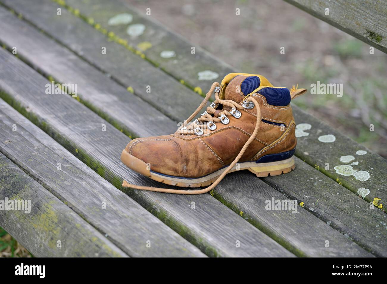 Scarpa dimenticata su una panca da parco Foto Stock