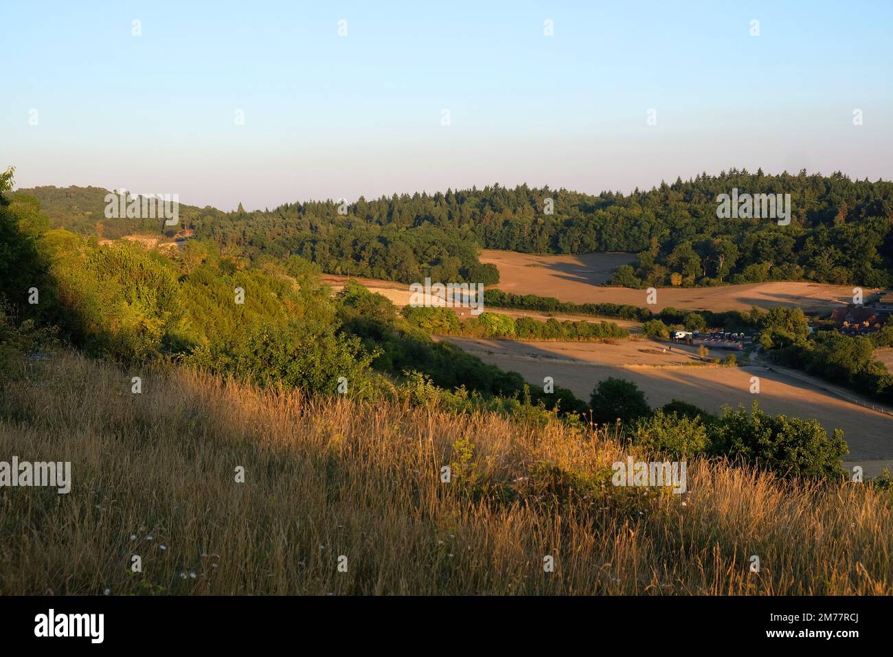 Viste da Pewley giù a Guildford, Surrey durante la siccità estiva del 2021. Foto Stock