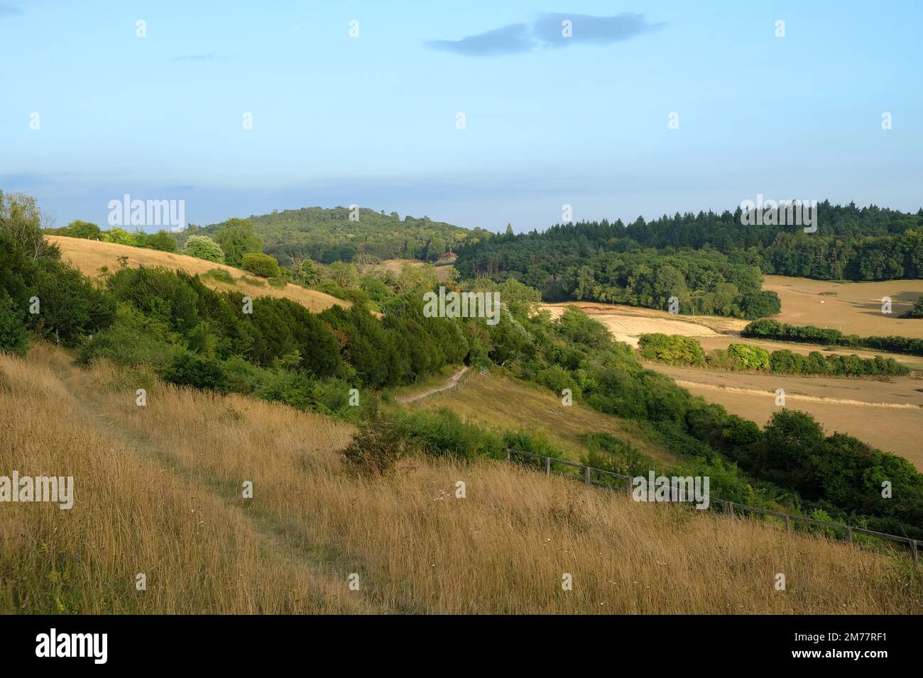 Viste da Pewley giù a Guildford, Surrey durante la siccità estiva del 2021. Foto Stock