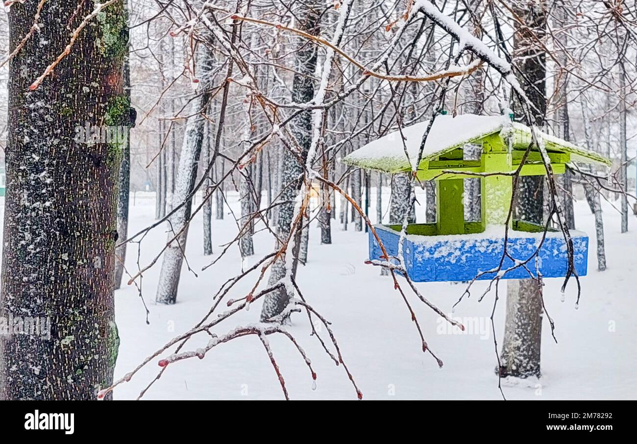 Alimentatore di uccelli in legno in inverno su un ramo d'albero in un parco cittadino Foto Stock