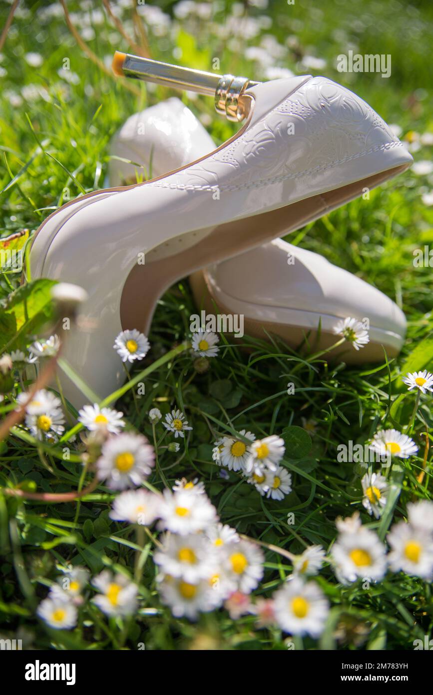 scarpe da sposa da donna con cerchi in oro giacenti su un prato verde Foto Stock