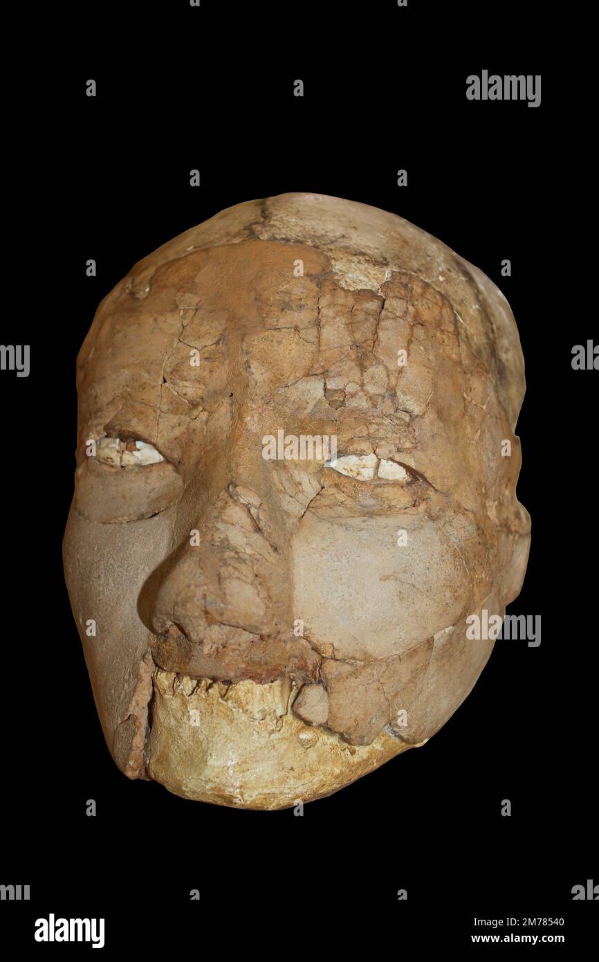 Teschio umano intonacato - Gerico, Neolitico, tra il 8.000 e il 6.000 a.C. Foto Stock