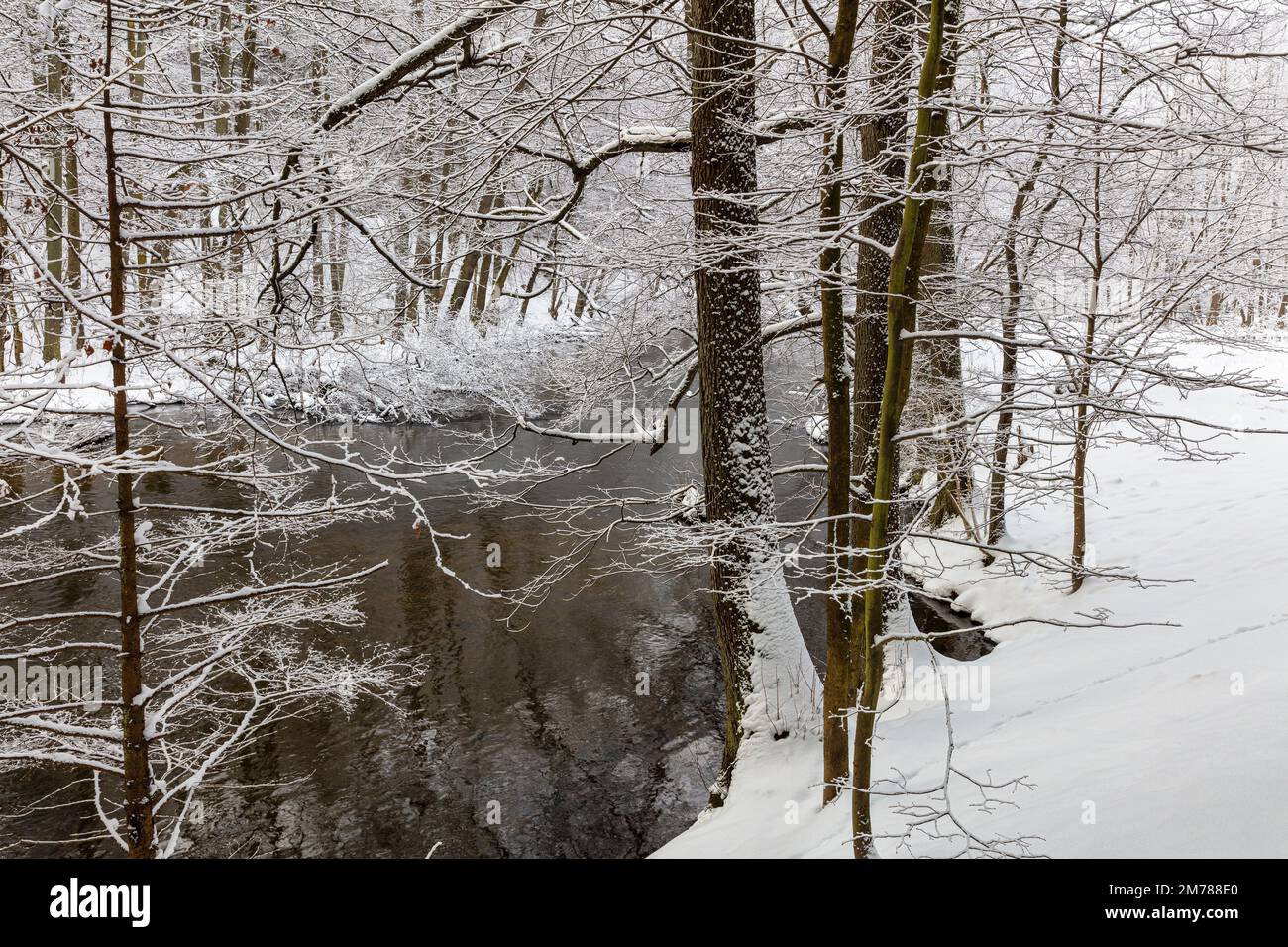 Inverno a Warmia e Mazury, Polonia Foto Stock