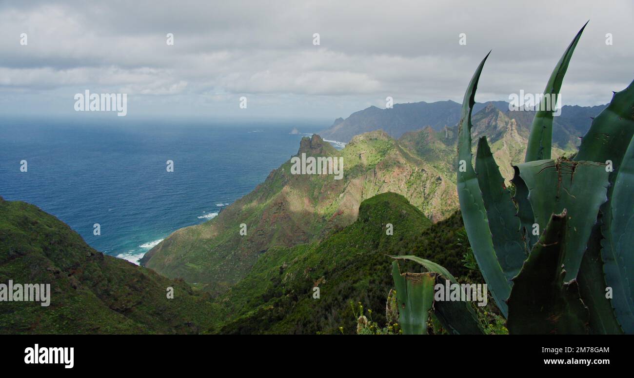 Catena montuosa nel Parco Rurale di Anaga. Tenerife. Foto Stock