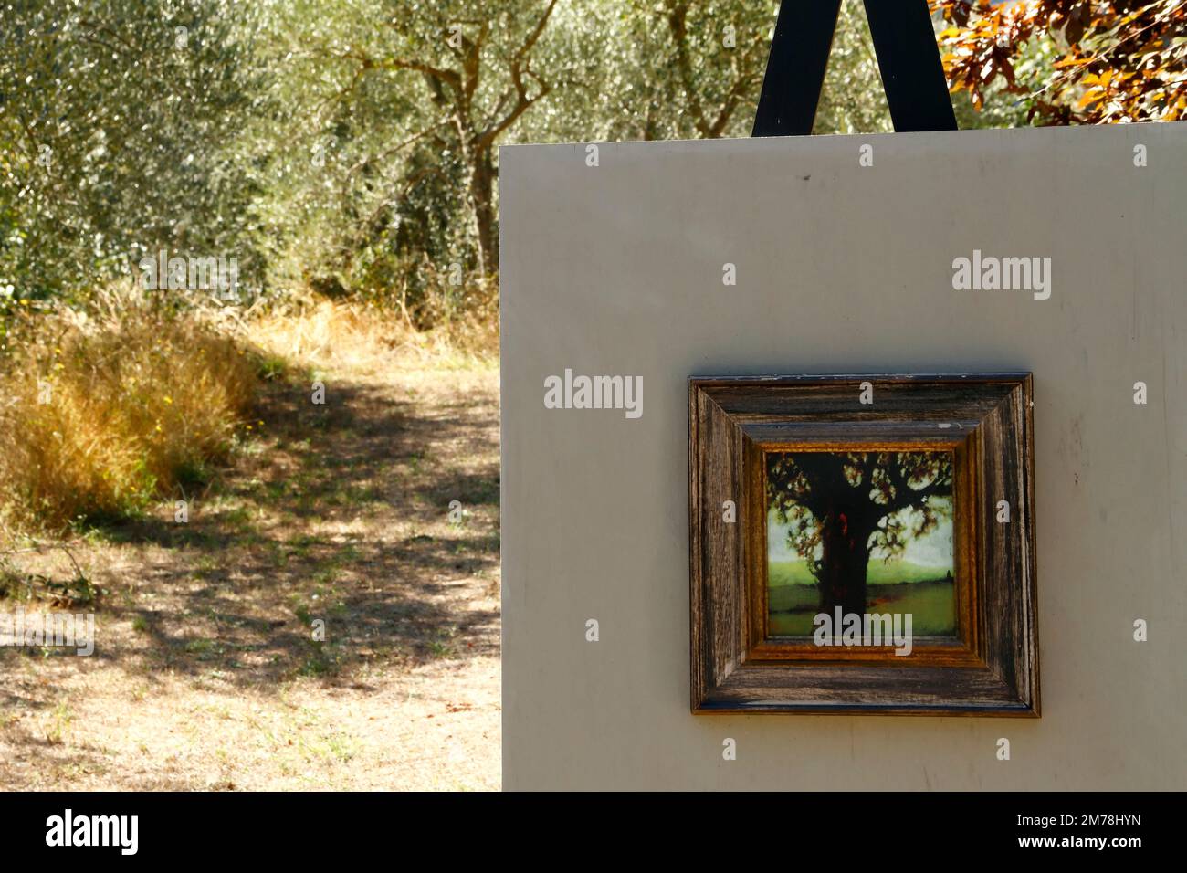 Dipinto ad olio di un albero dell'artista italiano Andrea Cresti, parte di una mostra d'arte in un oliveto nel medioevo Monticchiello, Val d'Orcia, Toscana, IT Foto Stock