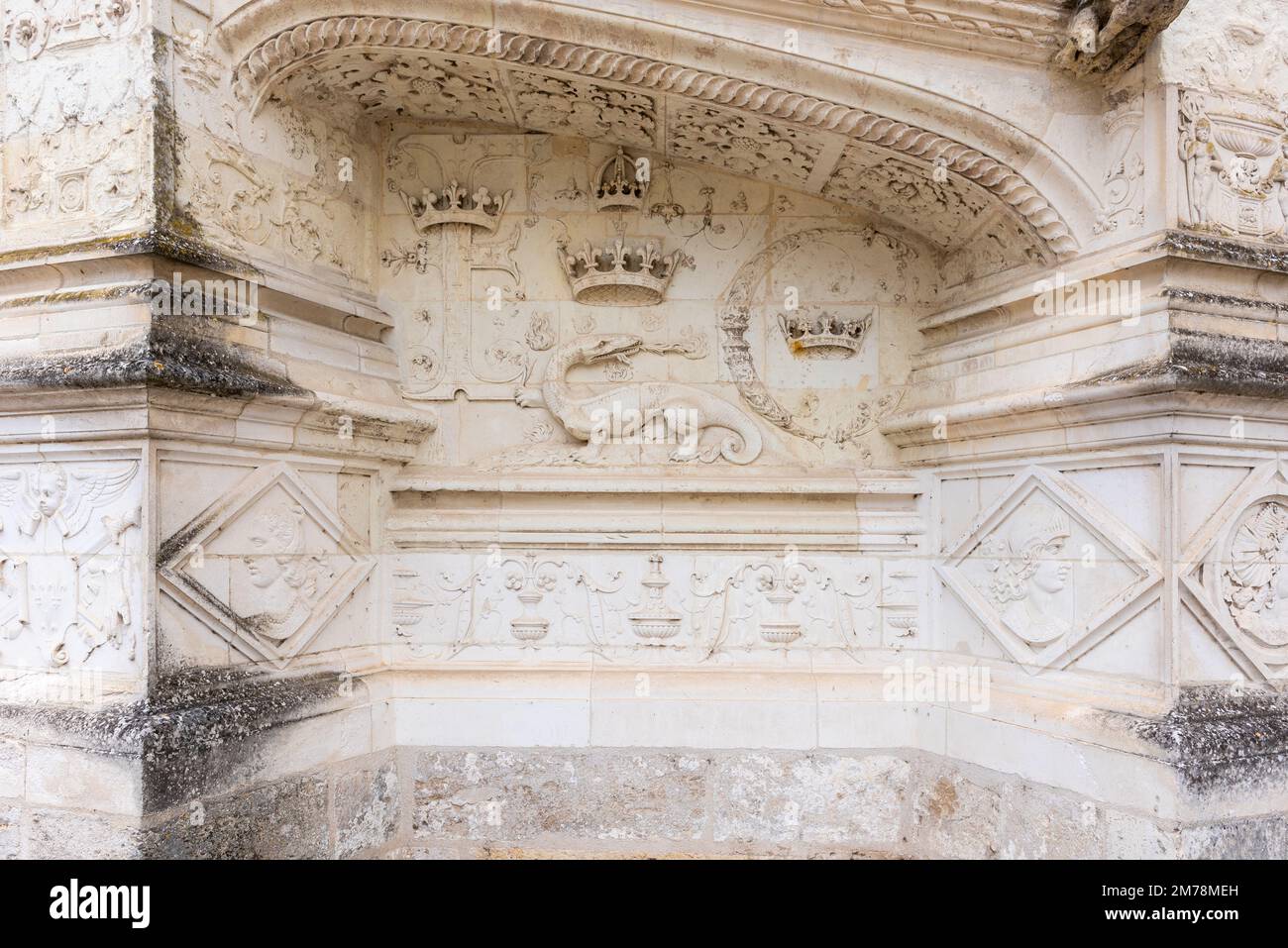 Dettagli di un bassorilievo del Castello reale di Blois. La salamandra era il simbolo del re Francesco il primo. Foto Stock