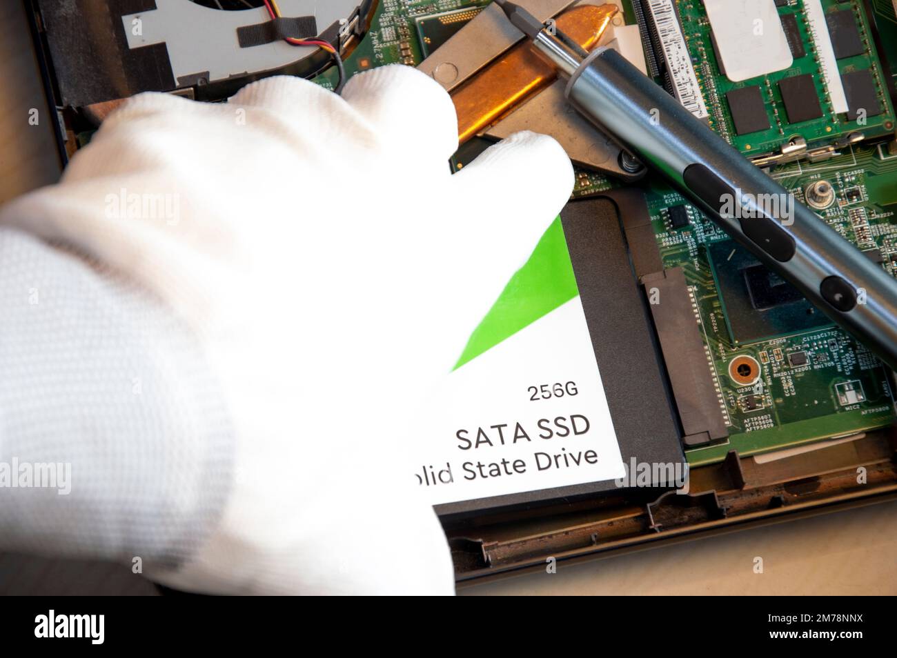 Tecnico che installa l'unità ssd nel vecchio computer, aggiornamento del  computer Foto stock - Alamy