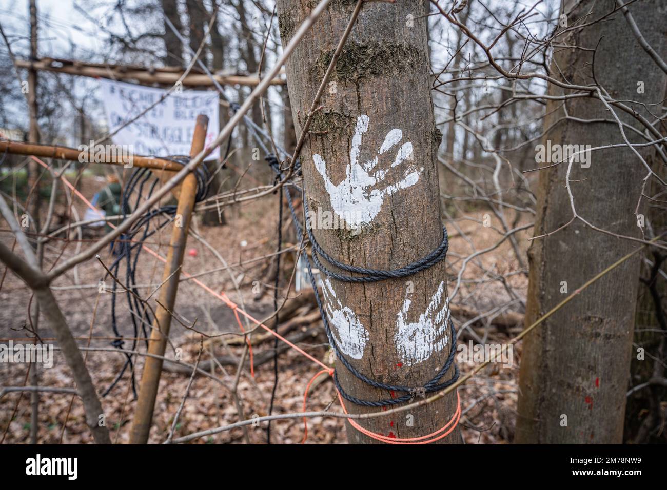 07 gennaio 2023, Hessen, Francoforte sul meno: Le mani sono simbolicamente dipinte su un albero nella foresta di Fechenheim. Gli squadratori della foresta vogliono impedire lo sgombero di un pezzo di foresta per l'ulteriore costruzione di autostrada 66. Continuano i preparativi per la bonifica della foresta occupata. Foto: Frank Rumpenhorst/dpa Foto Stock