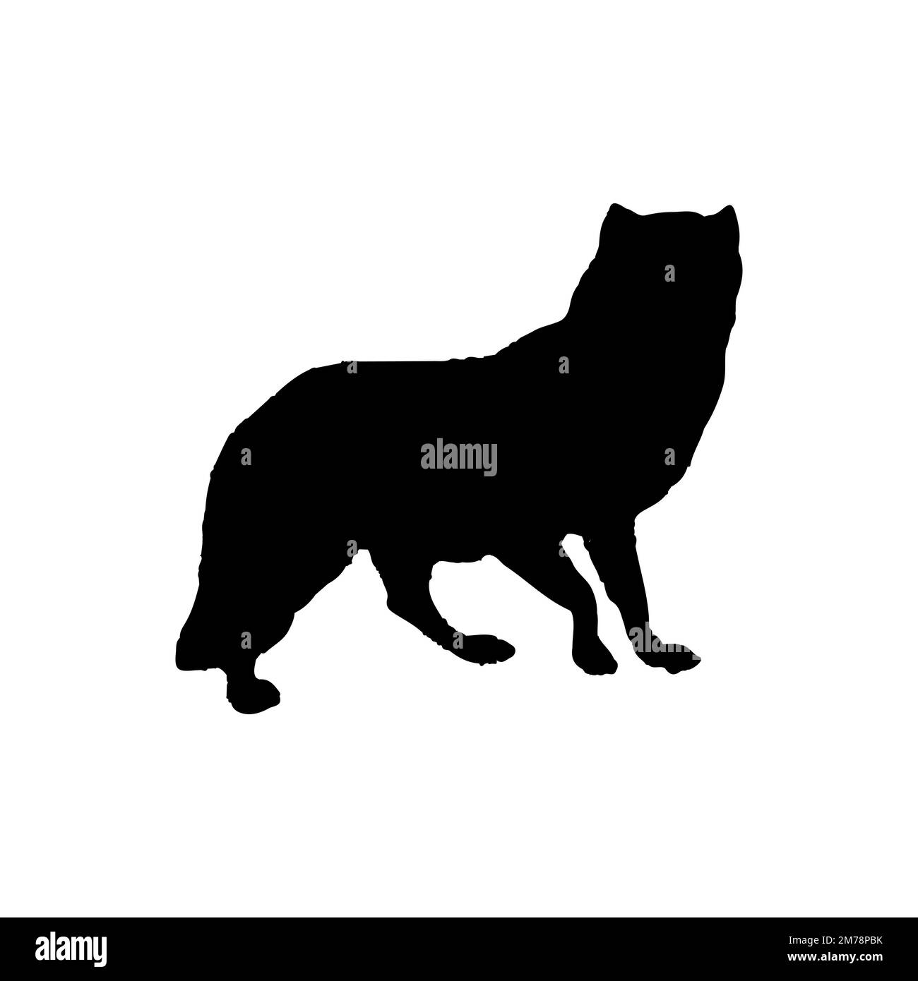 Icona cane. Semplice stile animale benessere associazione poster simbolo sfondo. Elemento di design del logo del marchio del cane. Stampa di magliette per cani. Vettore per adesivo. Illustrazione Vettoriale