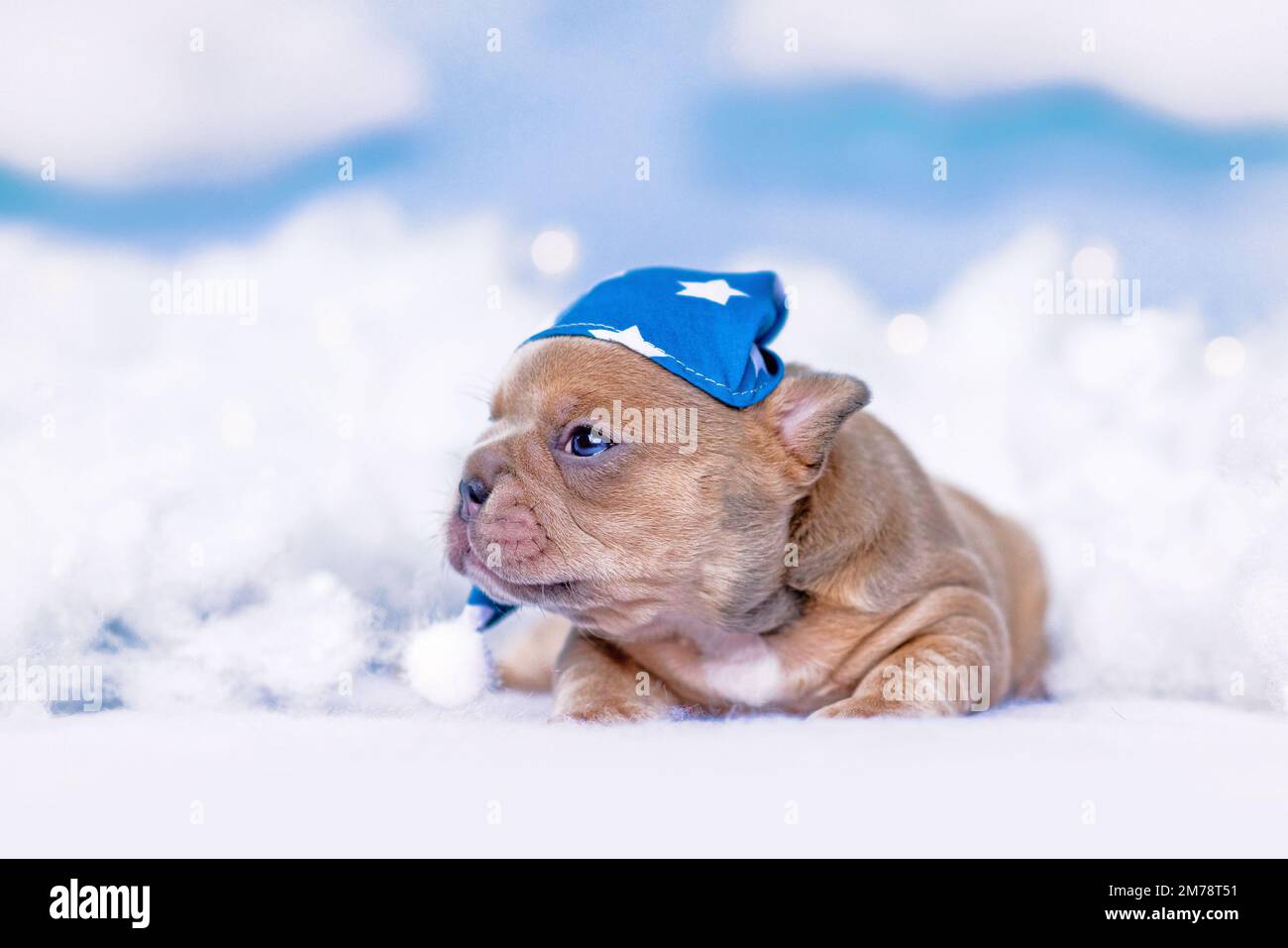 Cucciolo francese Bulldog con berretto da notte tra le nuvole e le stelle Foto Stock