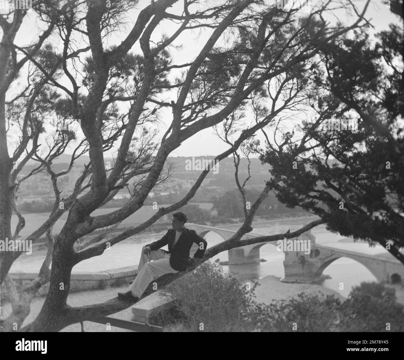 1940s il giovane posa in Pine Tree sopra il Pont Saint-Bénézet o Pont d'Avignon, un ponte medievale sul fiume Rhône, Avignone, Provenza Francia 1943. Fotografia vintage in bianco e nero o monocromatica. Foto Stock