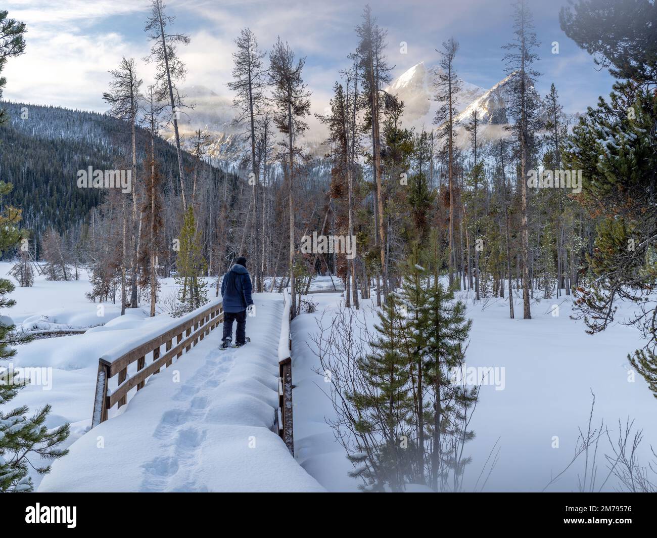 Idaho Sawtooth National Forest in inverno con una racchina da neve Foto Stock