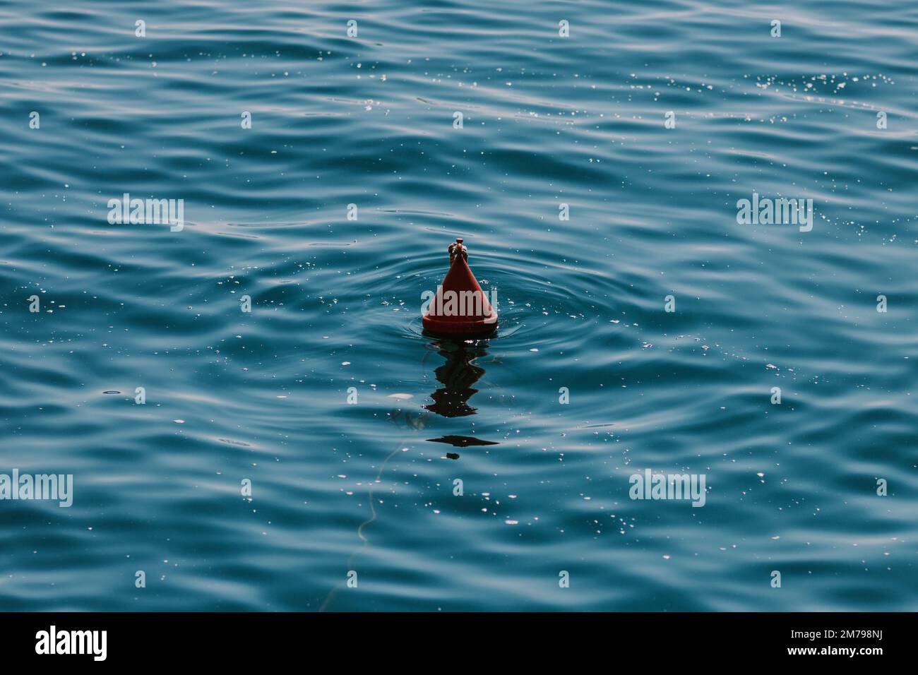 Una boa rossa nell'acqua blu Foto Stock