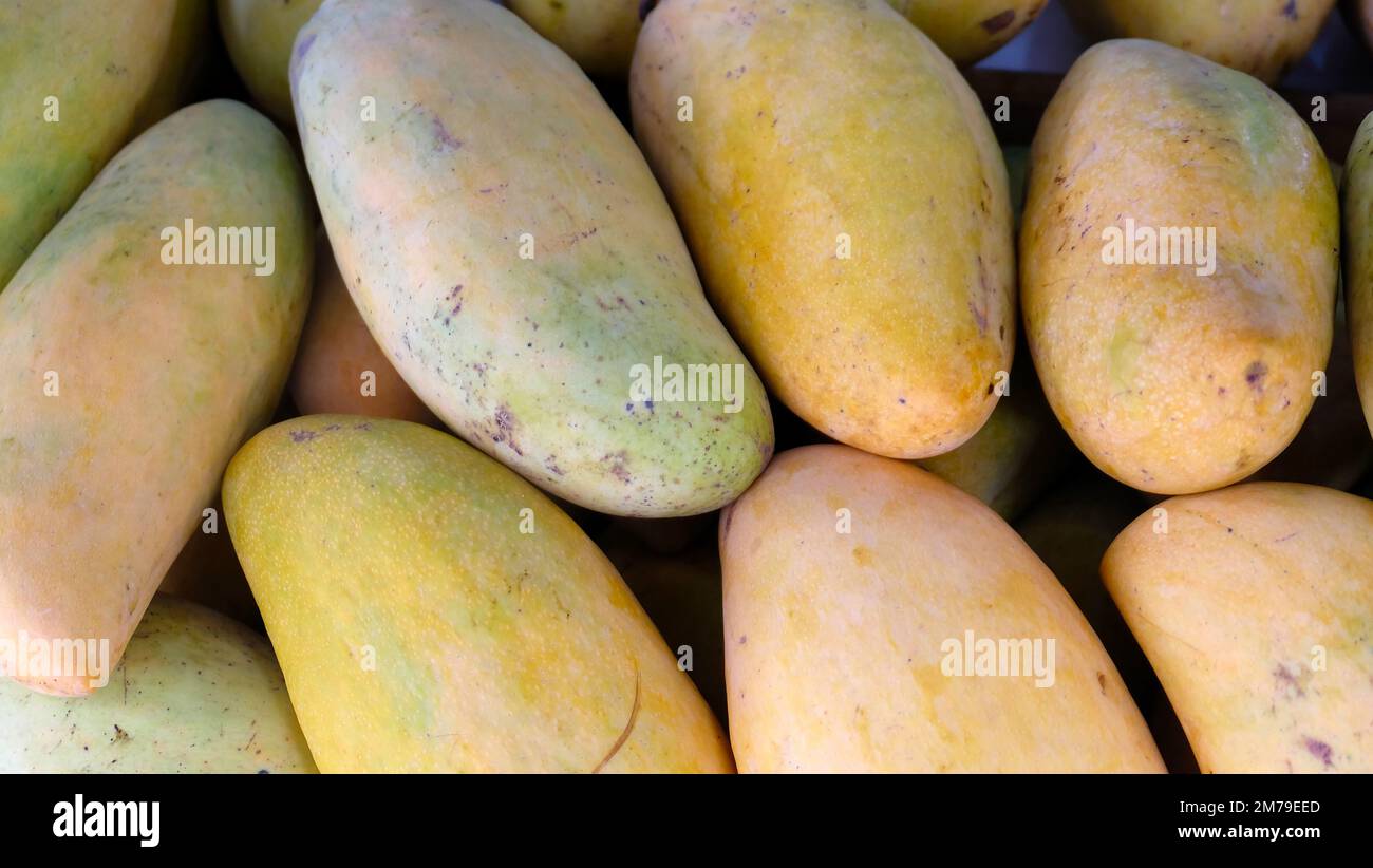 Primo piano di mango giallo verdolino, un dolce e succoso frutto tropicale. Foto Stock