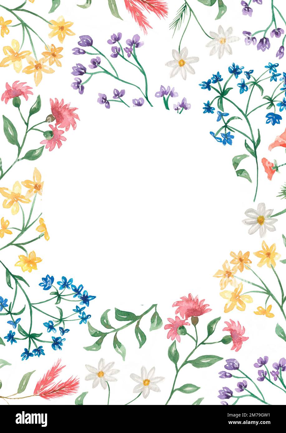 Mano disegnata watercolor wildflowers wreath Illustration.Wildflower flowers cornice clipart per il matrimonio, compleanno invito. Bouquet floreale. Prato fiorito Foto Stock