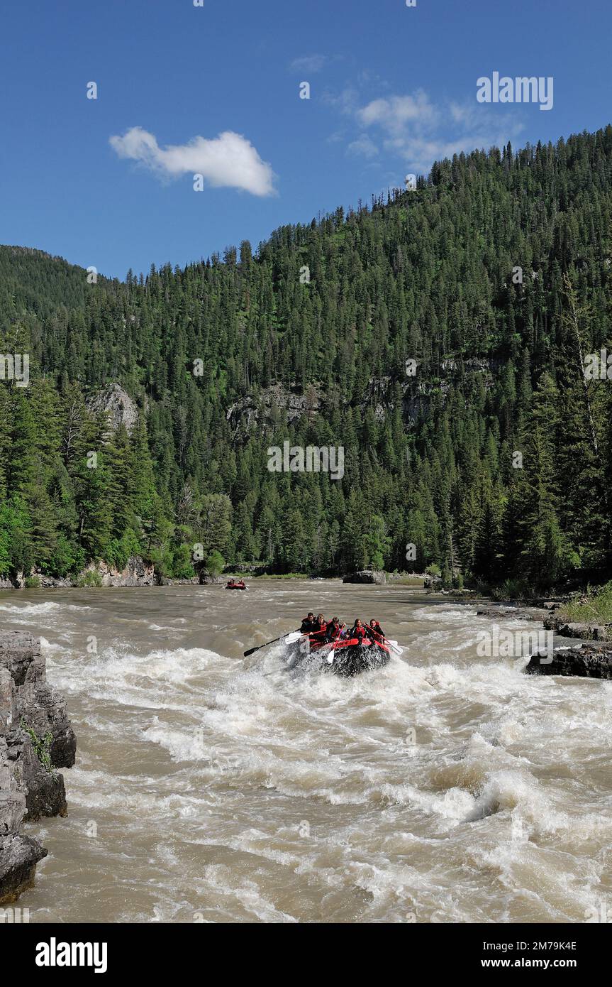 USA, Rocky Mountains, Wyoming, Jackson, Snake River, Lunch Counter Rapids Foto Stock