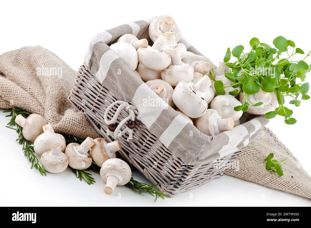 Funghi bianchi freschi disposti su fondo bianco in un cestino di vimini con erbe e pomodori Foto Stock
