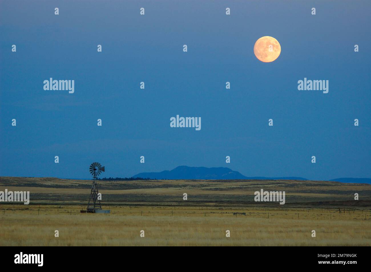 USA, Wyoming, Rocky Mountains, Campbell County, Gillette, luna piena Foto Stock