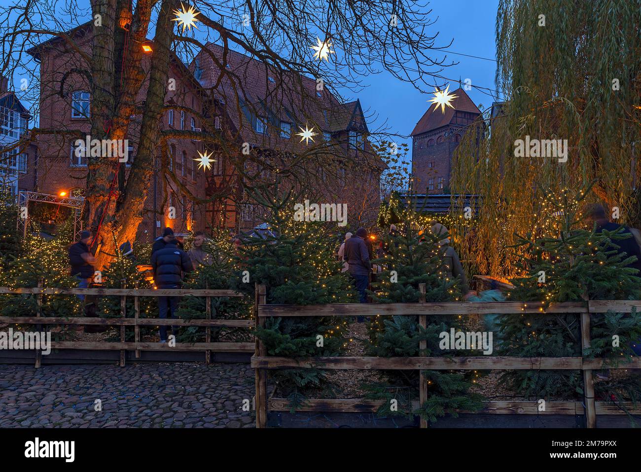 Mercatino di Natale all'ex mercato del pesce, Lueneburg, bassa Sassonia, Germania Foto Stock