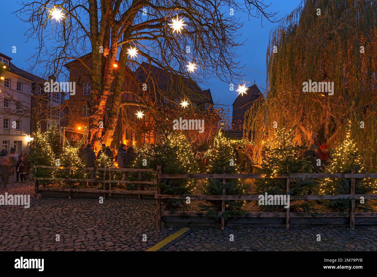 Mercatino di Natale all'ex mercato del pesce, Lueneburg, bassa Sassonia, Germania Foto Stock