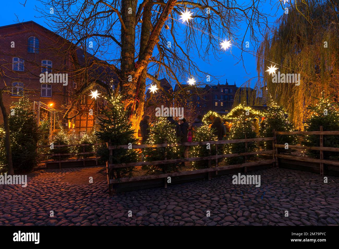 Mercatino di Natale all'ex mercato del pesce, Lueneburg, bassa Sassonia, Germania Foto Stock