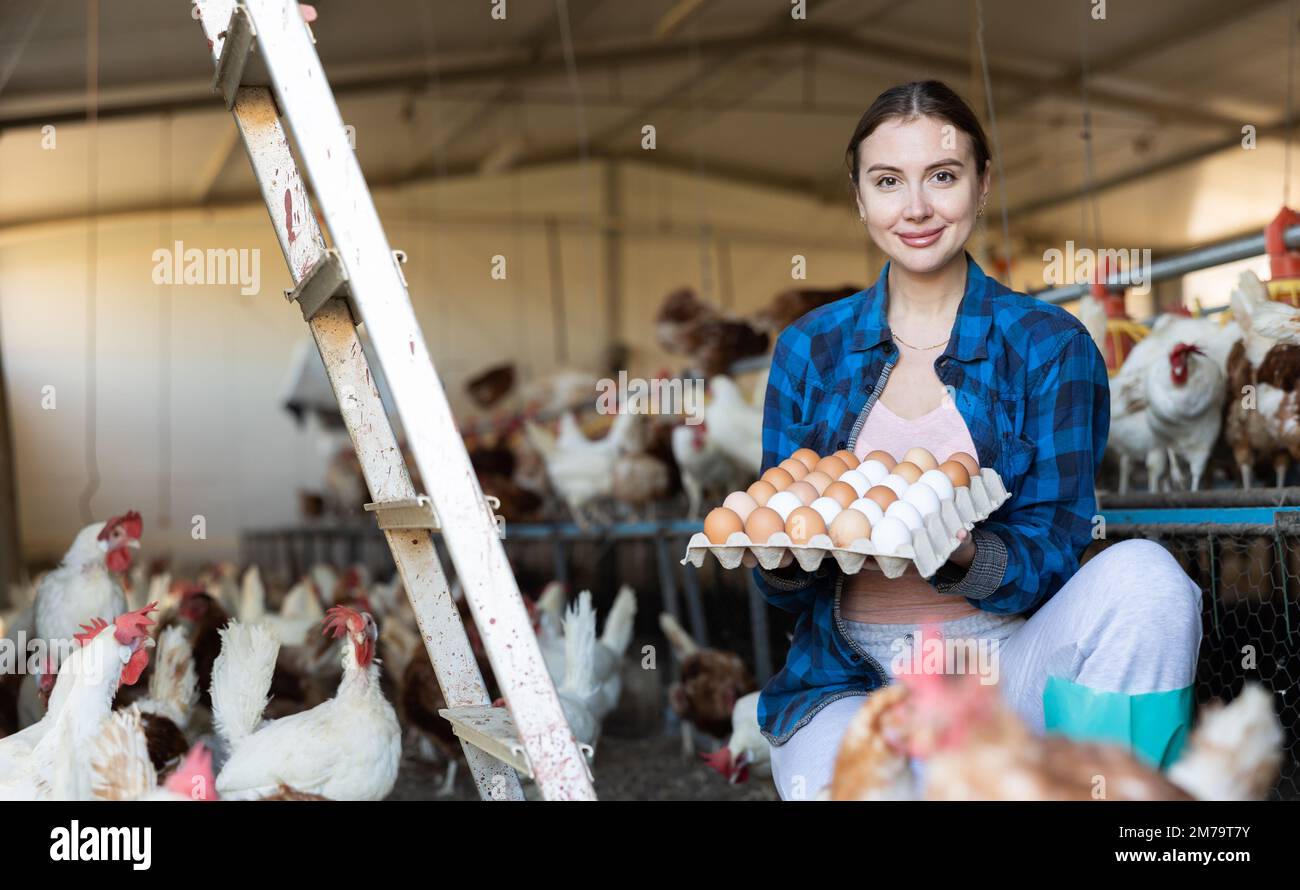 Donna europea sorridente in camicia a pipa e cappello che raccoglie le uova in allevamento di pollo Foto Stock