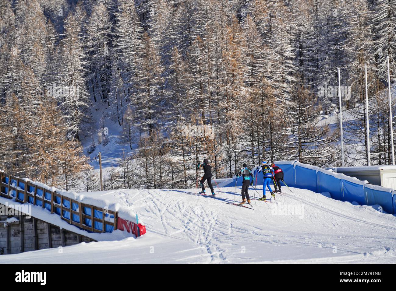 Un gruppo di sciatori di fondo in una soleggiata mattinata invernale sulle pendici di Pragelato nelle Alpi piemontesi. Pragelato, Italia - Dicembre 2022 Foto Stock