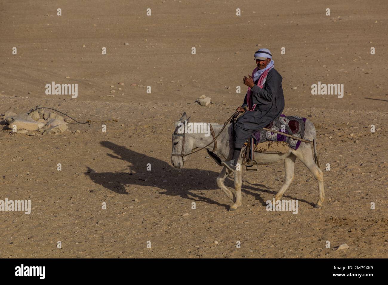 SAQQARA, EGITTO - 31 GENNAIO 2019: Uomo locale in sella a un asino presso il complesso funerario di Djoser (Zoser) a Saqqara, Egitto Foto Stock