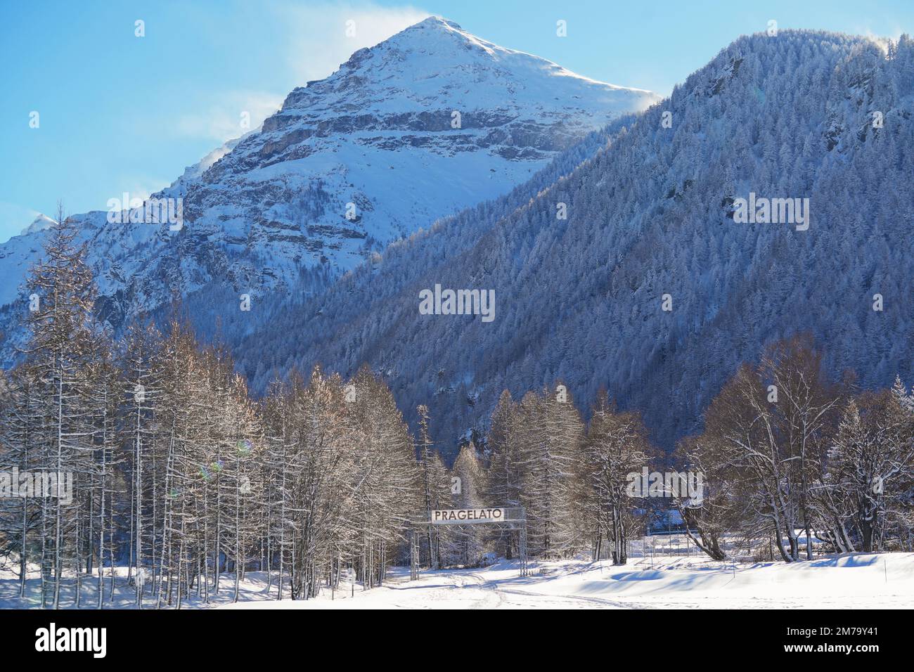 Foresta di montagna con abeti innevati. Bella scena all'aperto delle Alpi piemontesi. Bellezza del concetto di sfondo della natura. Foto Stock
