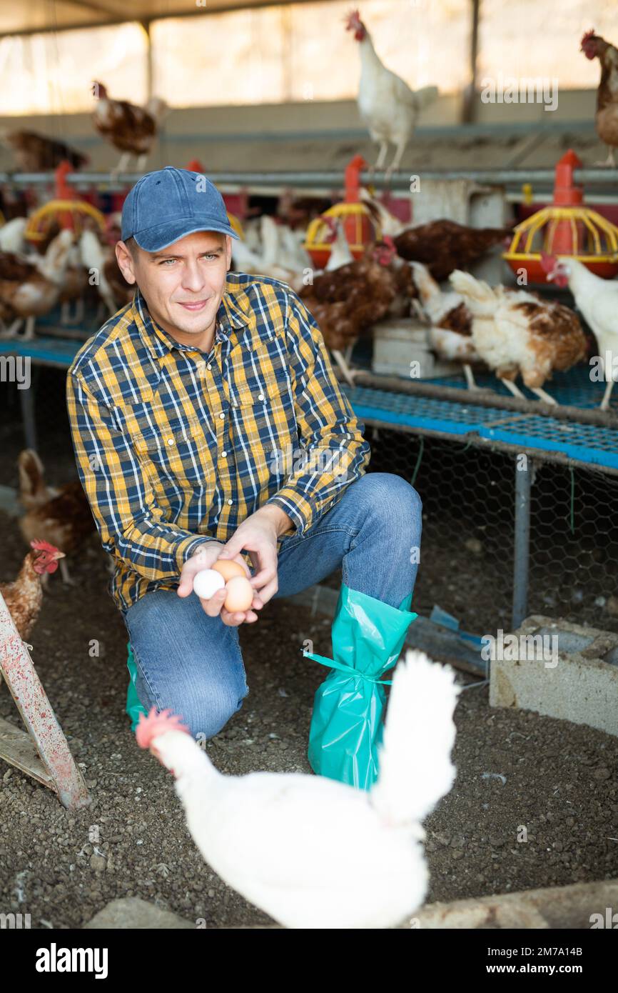 Giovane agricoltore europeo maschio che raccoglie uova fresche di pollo in gabbia Foto Stock