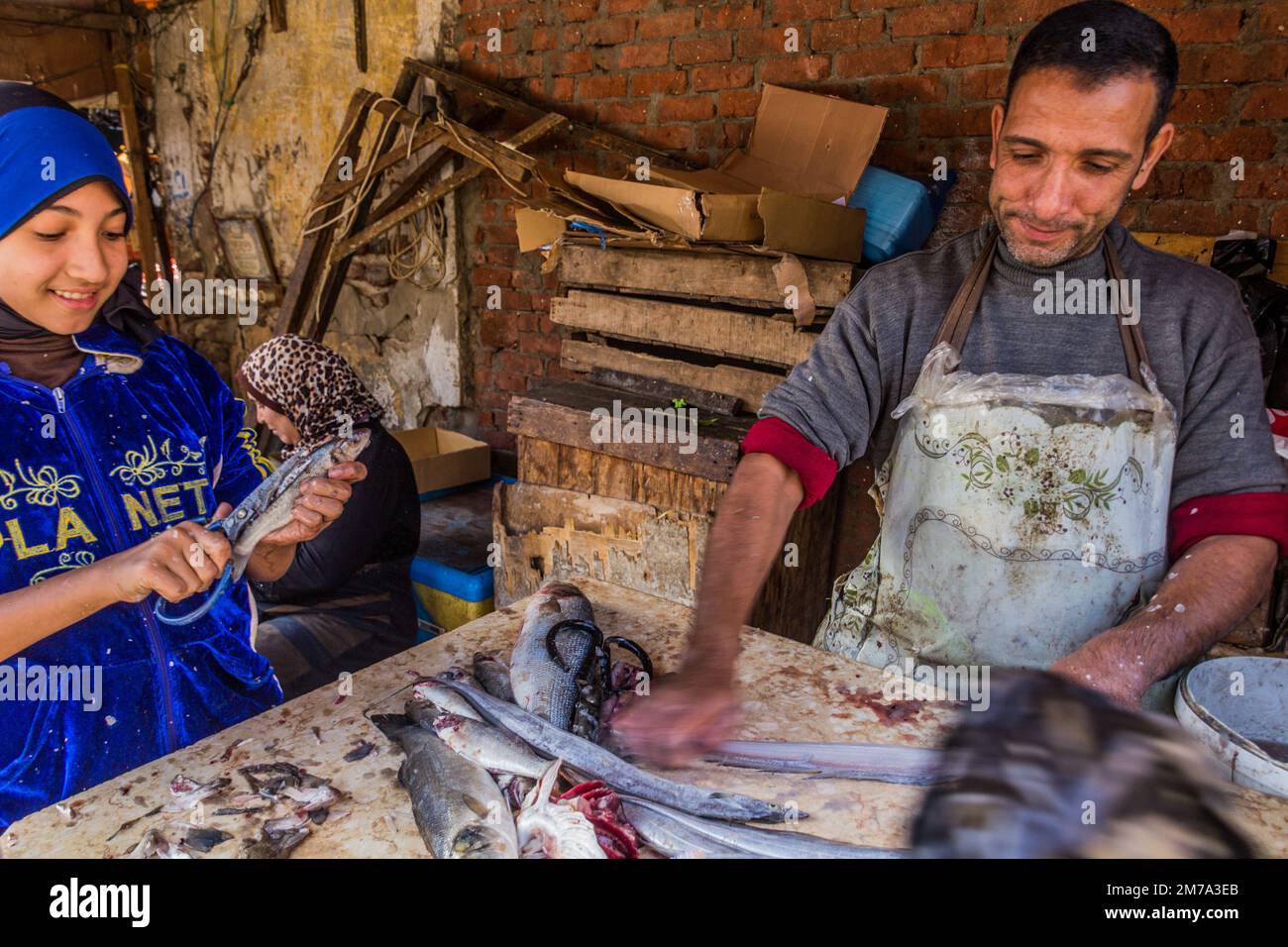 PORT SAID, EGITTO - 3 FEBBRAIO 2019: I venditori di pesce a Port Said, Egitto Foto Stock