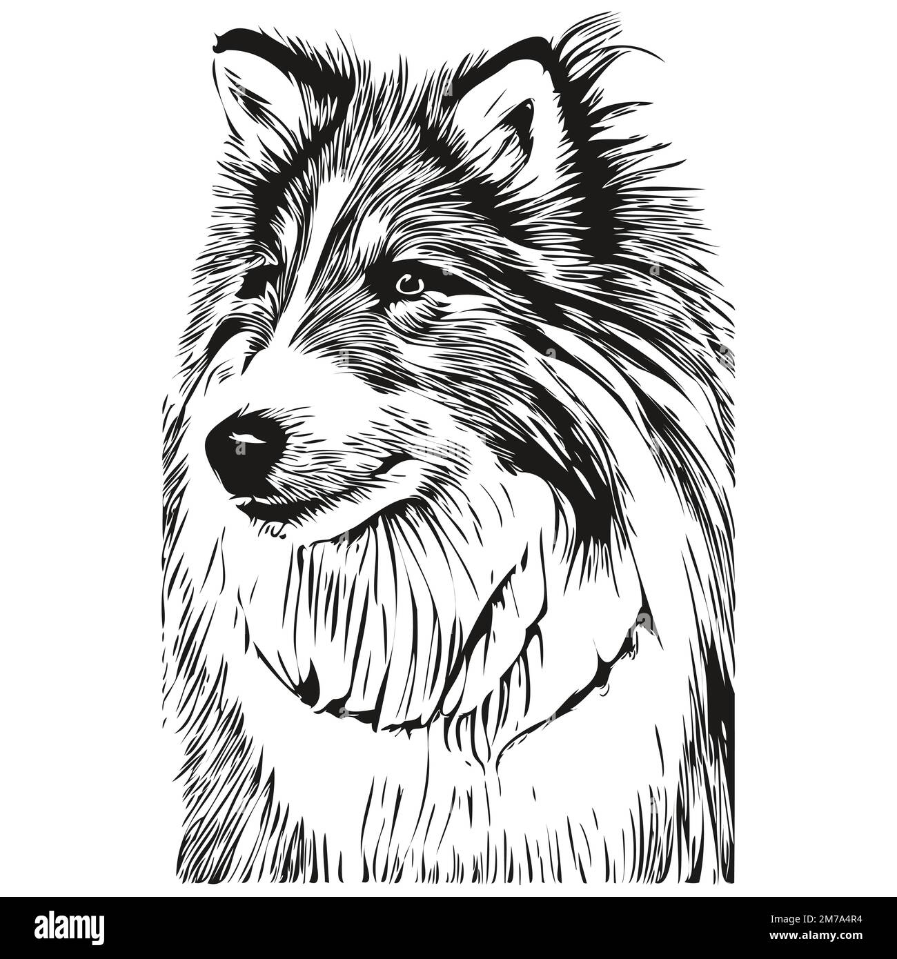 Shetland Sheepdog cane disegno a mano vettore logo disegno bianco e nero arte animali illustrazione Illustrazione Vettoriale