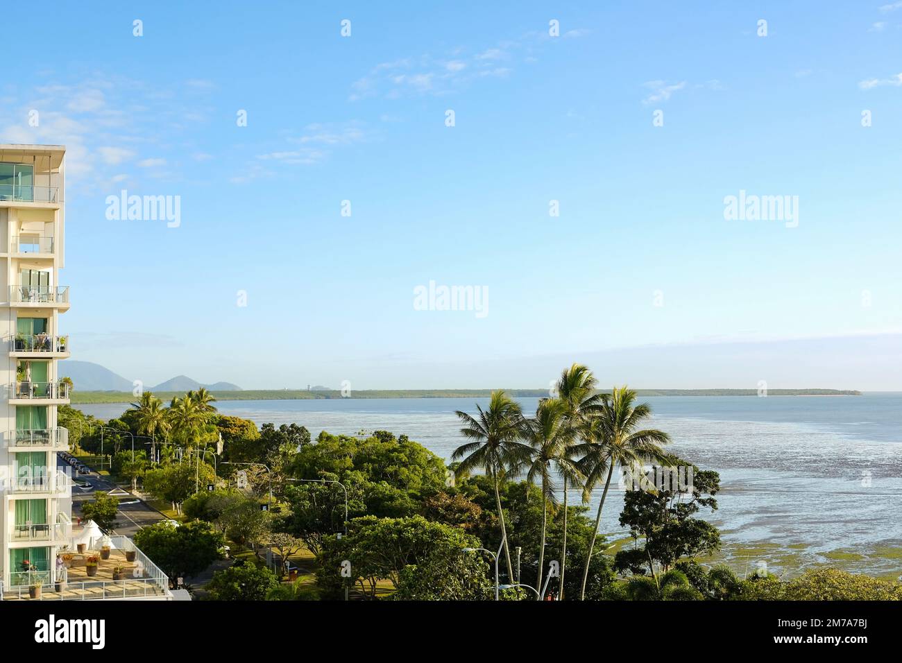 Cieli azzurri e palme ondeggianti nella spianata di Cairns: Coral Sea, Cairns; far North Queensland, Australia Foto Stock