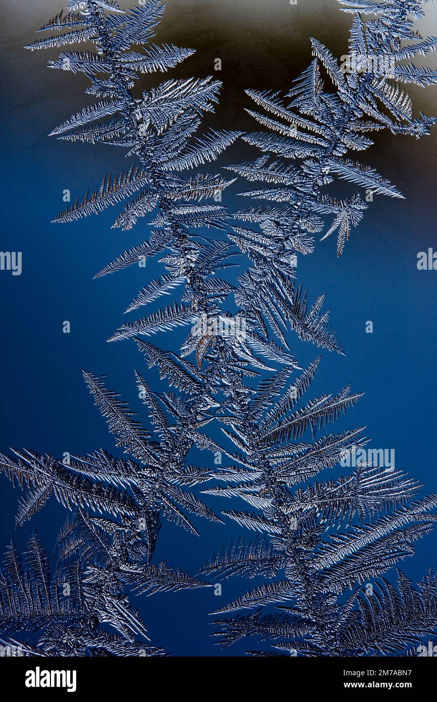 Gelo invernale sul vetro della finestra Foto Stock